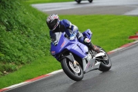 Motorcycle-action-photographs;Trackday-digital-images;cadwell;cadwell-park-photographs;event-digital-images;eventdigitalimages;motor-racing-louth-lincolnshire;no-limits-trackdays;peter-wileman-photography;trackday;trackday-photos