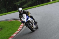 Motorcycle-action-photographs;Trackday-digital-images;cadwell;cadwell-park-photographs;event-digital-images;eventdigitalimages;motor-racing-louth-lincolnshire;no-limits-trackdays;peter-wileman-photography;trackday;trackday-photos