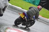 Motorcycle-action-photographs;Trackday-digital-images;cadwell;cadwell-park-photographs;event-digital-images;eventdigitalimages;motor-racing-louth-lincolnshire;no-limits-trackdays;peter-wileman-photography;trackday;trackday-photos