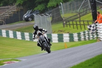 Motorcycle-action-photographs;Trackday-digital-images;cadwell;cadwell-park-photographs;event-digital-images;eventdigitalimages;motor-racing-louth-lincolnshire;no-limits-trackdays;peter-wileman-photography;trackday;trackday-photos