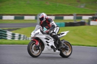 Motorcycle-action-photographs;Trackday-digital-images;cadwell;cadwell-park-photographs;event-digital-images;eventdigitalimages;motor-racing-louth-lincolnshire;no-limits-trackdays;peter-wileman-photography;trackday;trackday-photos