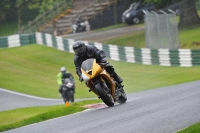 Motorcycle-action-photographs;Trackday-digital-images;cadwell;cadwell-park-photographs;event-digital-images;eventdigitalimages;motor-racing-louth-lincolnshire;no-limits-trackdays;peter-wileman-photography;trackday;trackday-photos