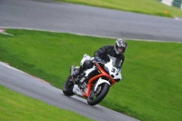 Motorcycle-action-photographs;Trackday-digital-images;cadwell;cadwell-park-photographs;event-digital-images;eventdigitalimages;motor-racing-louth-lincolnshire;no-limits-trackdays;peter-wileman-photography;trackday;trackday-photos