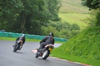 Motorcycle-action-photographs;Trackday-digital-images;cadwell;cadwell-park-photographs;event-digital-images;eventdigitalimages;motor-racing-louth-lincolnshire;no-limits-trackdays;peter-wileman-photography;trackday;trackday-photos