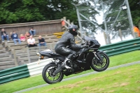 Motorcycle-action-photographs;Trackday-digital-images;cadwell;cadwell-park-photographs;event-digital-images;eventdigitalimages;motor-racing-louth-lincolnshire;no-limits-trackdays;peter-wileman-photography;trackday;trackday-photos