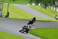 Motorcycle-action-photographs;Trackday-digital-images;cadwell;cadwell-park-photographs;event-digital-images;eventdigitalimages;motor-racing-louth-lincolnshire;no-limits-trackdays;peter-wileman-photography;trackday;trackday-photos