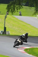 Motorcycle-action-photographs;Trackday-digital-images;cadwell;cadwell-park-photographs;event-digital-images;eventdigitalimages;motor-racing-louth-lincolnshire;no-limits-trackdays;peter-wileman-photography;trackday;trackday-photos