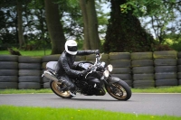 Motorcycle-action-photographs;Trackday-digital-images;cadwell;cadwell-park-photographs;event-digital-images;eventdigitalimages;motor-racing-louth-lincolnshire;no-limits-trackdays;peter-wileman-photography;trackday;trackday-photos