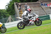 Motorcycle-action-photographs;Trackday-digital-images;cadwell;cadwell-park-photographs;event-digital-images;eventdigitalimages;motor-racing-louth-lincolnshire;no-limits-trackdays;peter-wileman-photography;trackday;trackday-photos