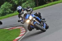 Motorcycle-action-photographs;Trackday-digital-images;cadwell;cadwell-park-photographs;event-digital-images;eventdigitalimages;motor-racing-louth-lincolnshire;no-limits-trackdays;peter-wileman-photography;trackday;trackday-photos