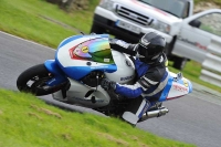 Motorcycle-action-photographs;Trackday-digital-images;cadwell;cadwell-park-photographs;event-digital-images;eventdigitalimages;motor-racing-louth-lincolnshire;no-limits-trackdays;peter-wileman-photography;trackday;trackday-photos