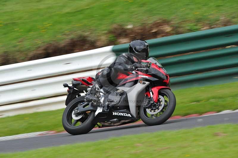 Motorcycle action photographs;Trackday digital images;cadwell;cadwell park photographs;event digital images;eventdigitalimages;motor racing louth lincolnshire;no limits trackdays;peter wileman photography;trackday;trackday photos