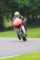 Motorcycle-action-photographs;Trackday-digital-images;cadwell;cadwell-park-photographs;event-digital-images;eventdigitalimages;motor-racing-louth-lincolnshire;no-limits-trackdays;peter-wileman-photography;trackday;trackday-photos