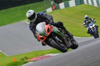 Motorcycle-action-photographs;Trackday-digital-images;cadwell;cadwell-park-photographs;event-digital-images;eventdigitalimages;motor-racing-louth-lincolnshire;no-limits-trackdays;peter-wileman-photography;trackday;trackday-photos