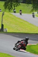 Motorcycle-action-photographs;Trackday-digital-images;cadwell;cadwell-park-photographs;event-digital-images;eventdigitalimages;motor-racing-louth-lincolnshire;no-limits-trackdays;peter-wileman-photography;trackday;trackday-photos