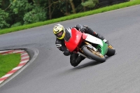 Motorcycle-action-photographs;Trackday-digital-images;cadwell;cadwell-park-photographs;event-digital-images;eventdigitalimages;motor-racing-louth-lincolnshire;no-limits-trackdays;peter-wileman-photography;trackday;trackday-photos