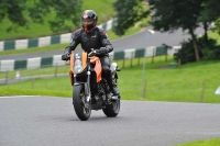 Motorcycle-action-photographs;Trackday-digital-images;cadwell;cadwell-park-photographs;event-digital-images;eventdigitalimages;motor-racing-louth-lincolnshire;no-limits-trackdays;peter-wileman-photography;trackday;trackday-photos