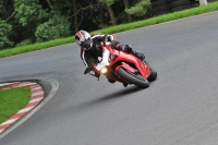 Motorcycle-action-photographs;Trackday-digital-images;cadwell;cadwell-park-photographs;event-digital-images;eventdigitalimages;motor-racing-louth-lincolnshire;no-limits-trackdays;peter-wileman-photography;trackday;trackday-photos