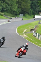 Motorcycle-action-photographs;Trackday-digital-images;cadwell;cadwell-park-photographs;event-digital-images;eventdigitalimages;motor-racing-louth-lincolnshire;no-limits-trackdays;peter-wileman-photography;trackday;trackday-photos