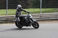 Motorcycle-action-photographs;Trackday-digital-images;brands;brands-hatch-photographs;event-digital-images;eventdigitalimages;motor-racing-london;no-limits-trackday;peter-wileman-photography;trackday;trackday-photos