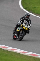 Motorcycle-action-photographs;Trackday-digital-images;brands;brands-hatch-photographs;event-digital-images;eventdigitalimages;motor-racing-london;no-limits-trackday;peter-wileman-photography;trackday;trackday-photos