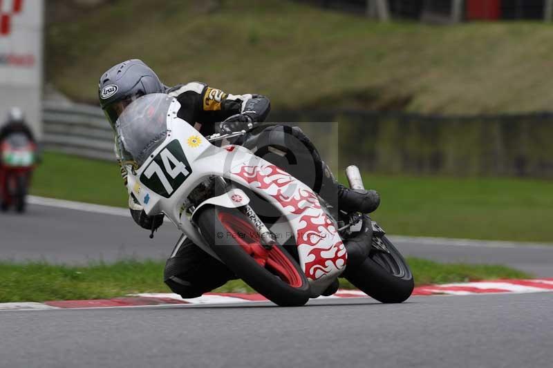 brands hatch photographs;brands no limits trackday;cadwell trackday photographs;enduro digital images;event digital images;eventdigitalimages;no limits trackdays;peter wileman photography;racing digital images;trackday digital images;trackday photos