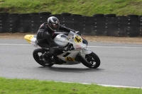 Motorcycle-action-photographs;Trackday-digital-images;brands;brands-hatch-photographs;event-digital-images;eventdigitalimages;motor-racing-london;no-limits-trackday;peter-wileman-photography;trackday;trackday-photos