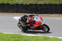 Motorcycle-action-photographs;Trackday-digital-images;brands;brands-hatch-photographs;event-digital-images;eventdigitalimages;motor-racing-london;no-limits-trackday;peter-wileman-photography;trackday;trackday-photos