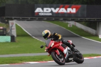 Motorcycle-action-photographs;Trackday-digital-images;brands;brands-hatch-photographs;event-digital-images;eventdigitalimages;motor-racing-london;no-limits-trackday;peter-wileman-photography;trackday;trackday-photos