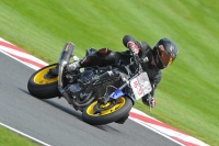 Motorcycle-action-photographs;Trackday-digital-images;event-digital-images;eventdigitalimages;no-limits-trackday;oulton-park;oulton-park-circuit-cheshire;oulton-park-photographs;peter-wileman-photography;trackday;trackday-photos