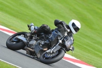 Motorcycle-action-photographs;Trackday-digital-images;event-digital-images;eventdigitalimages;no-limits-trackday;oulton-park;oulton-park-circuit-cheshire;oulton-park-photographs;peter-wileman-photography;trackday;trackday-photos