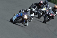 Motorcycle-action-photographs;Trackday-digital-images;event-digital-images;eventdigitalimages;no-limits-trackday;oulton-park;oulton-park-circuit-cheshire;oulton-park-photographs;peter-wileman-photography;trackday;trackday-photos