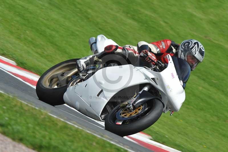 Motorcycle action photographs;Trackday digital images;event digital images;eventdigitalimages;no limits trackday;oulton park;oulton park circuit cheshire;oulton park photographs;peter wileman photography;trackday;trackday photos