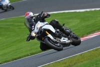 Motorcycle-action-photographs;Trackday-digital-images;event-digital-images;eventdigitalimages;no-limits-trackday;oulton-park;oulton-park-circuit-cheshire;oulton-park-photographs;peter-wileman-photography;trackday;trackday-photos