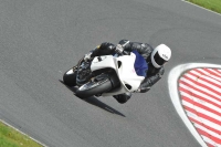 Motorcycle-action-photographs;Trackday-digital-images;event-digital-images;eventdigitalimages;no-limits-trackday;oulton-park;oulton-park-circuit-cheshire;oulton-park-photographs;peter-wileman-photography;trackday;trackday-photos