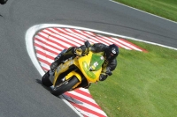 Motorcycle-action-photographs;Trackday-digital-images;event-digital-images;eventdigitalimages;no-limits-trackday;oulton-park;oulton-park-circuit-cheshire;oulton-park-photographs;peter-wileman-photography;trackday;trackday-photos