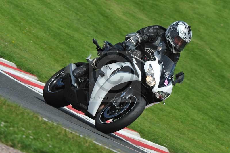 Motorcycle action photographs;Trackday digital images;event digital images;eventdigitalimages;no limits trackday;oulton park;oulton park circuit cheshire;oulton park photographs;peter wileman photography;trackday;trackday photos