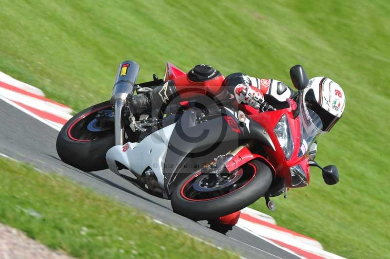 Motorcycle action photographs;Trackday digital images;event digital images;eventdigitalimages;no limits trackday;oulton park;oulton park circuit cheshire;oulton park photographs;peter wileman photography;trackday;trackday photos