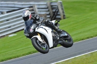 Motorcycle-action-photographs;Trackday-digital-images;event-digital-images;eventdigitalimages;no-limits-trackday;oulton-park;oulton-park-circuit-cheshire;oulton-park-photographs;peter-wileman-photography;trackday;trackday-photos