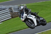 Motorcycle-action-photographs;Trackday-digital-images;event-digital-images;eventdigitalimages;no-limits-trackday;oulton-park;oulton-park-circuit-cheshire;oulton-park-photographs;peter-wileman-photography;trackday;trackday-photos