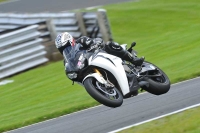 Motorcycle-action-photographs;Trackday-digital-images;event-digital-images;eventdigitalimages;no-limits-trackday;oulton-park;oulton-park-circuit-cheshire;oulton-park-photographs;peter-wileman-photography;trackday;trackday-photos