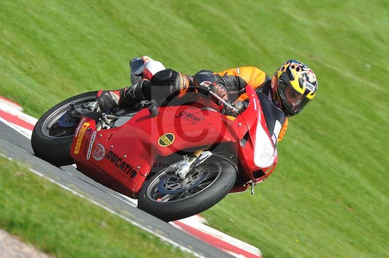 Motorcycle action photographs;Trackday digital images;event digital images;eventdigitalimages;no limits trackday;oulton park;oulton park circuit cheshire;oulton park photographs;peter wileman photography;trackday;trackday photos