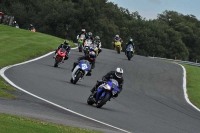 Motorcycle-action-photographs;Trackday-digital-images;event-digital-images;eventdigitalimages;no-limits-trackday;oulton-park;oulton-park-circuit-cheshire;oulton-park-photographs;peter-wileman-photography;trackday;trackday-photos