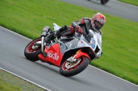 Motorcycle-action-photographs;Trackday-digital-images;event-digital-images;eventdigitalimages;no-limits-trackday;oulton-park;oulton-park-circuit-cheshire;oulton-park-photographs;peter-wileman-photography;trackday;trackday-photos