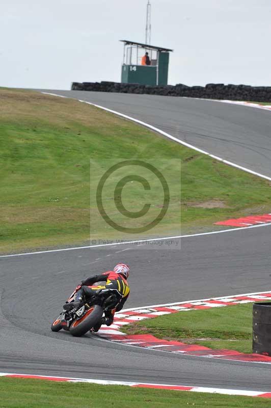 anglesey;brands hatch;cadwell park;croft;donington park;enduro digital images;event digital images;eventdigitalimages;mallory;no limits;oulton park;peter wileman photography;racing digital images;silverstone;snetterton;trackday digital images;trackday photos;welsh 2 day enduro