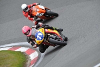 anglesey;brands-hatch;cadwell-park;croft;donington-park;enduro-digital-images;event-digital-images;eventdigitalimages;mallory;no-limits;oulton-park;peter-wileman-photography;racing-digital-images;silverstone;snetterton;trackday-digital-images;trackday-photos;welsh-2-day-enduro