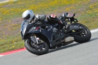 march-2010;motorbikes;no-limits;peter-wileman-photography;portimao;portugal;trackday;trackday-digital-images