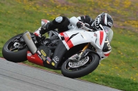 march-2010;motorbikes;no-limits;peter-wileman-photography;portimao;portugal;trackday;trackday-digital-images