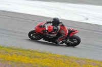 march-2010;motorbikes;no-limits;peter-wileman-photography;portimao;portugal;trackday;trackday-digital-images