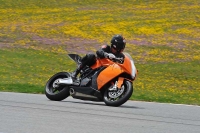 march-2010;motorbikes;no-limits;peter-wileman-photography;portimao;portugal;trackday;trackday-digital-images